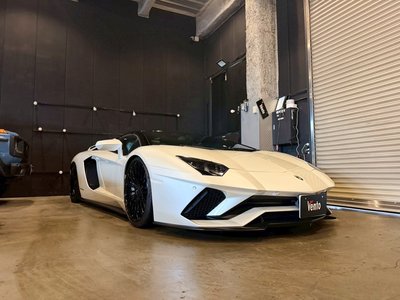 2018 Lamborghini AVENTADOR ROADSTER 缩略图 49