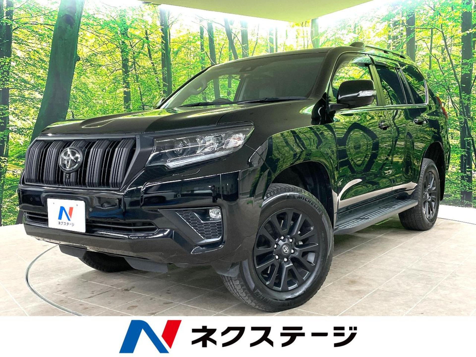 TOYOTA LAND CRUISER PRADO - View 1