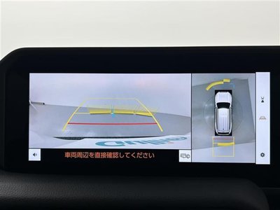 TOYOTA LAND CRUISER 250 - 5