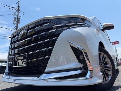 2025 Toyota ALPHARD 缩略图 21
