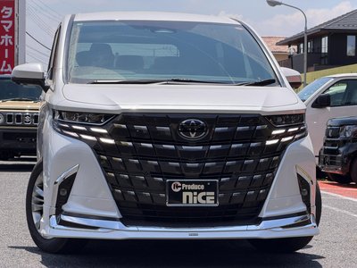 2025 Toyota ALPHARD 缩略图 14