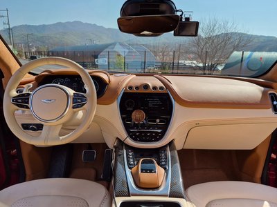 ASTON MARTIN DBX - 10