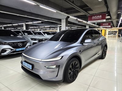 2025 Tesla MODEL Y — фото 1