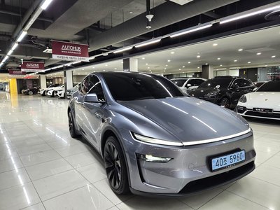 2025 Tesla MODEL Y — фото 4