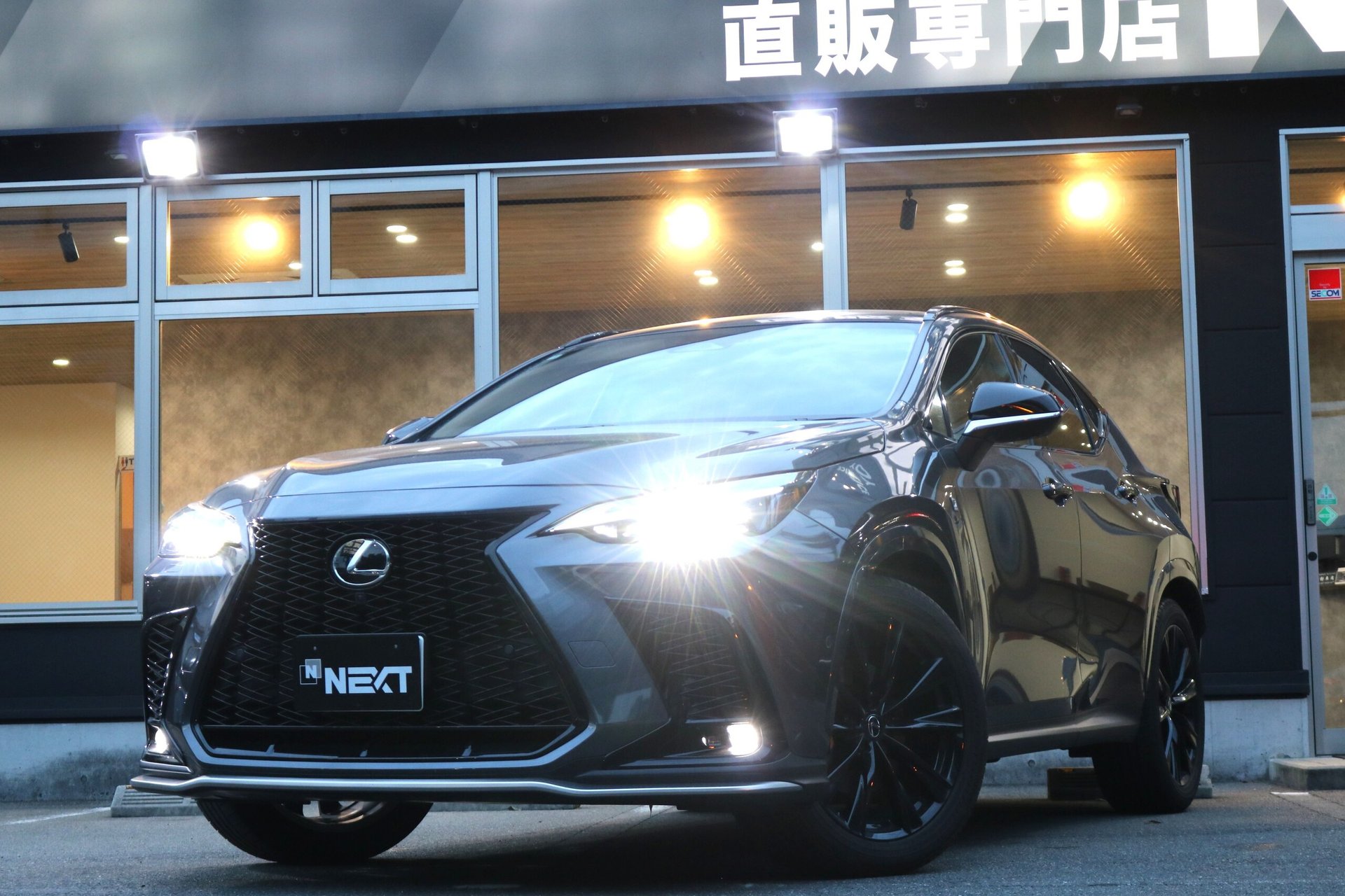 LEXUS NX - View 1
