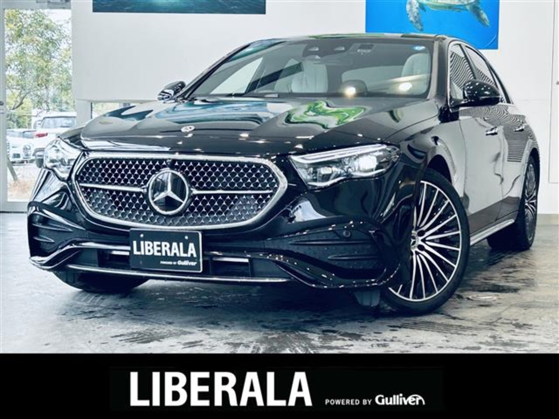 MERCEDES-BENZ E-CLASS - View 1