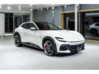 FERRARI PUROSANGUE - 1