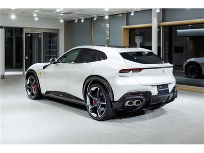 FERRARI PUROSANGUE - 7