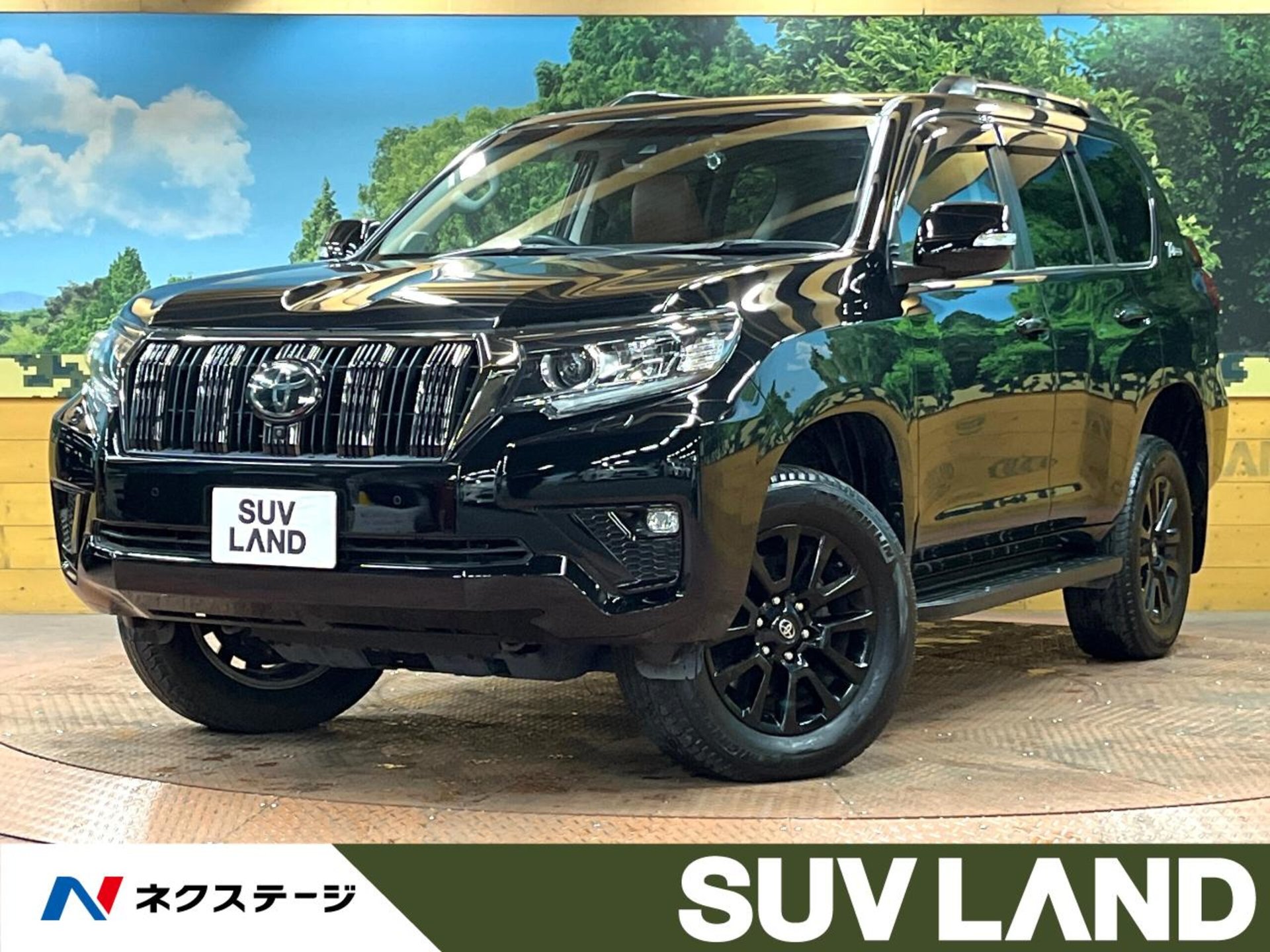 TOYOTA LAND CRUISER PRADO - View 1