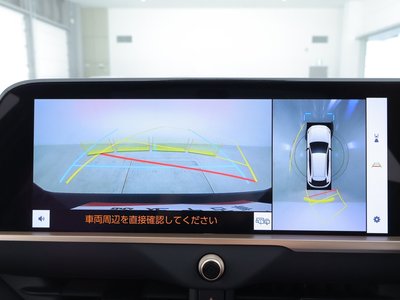 2024 Toyota CROWN SPORT — фото 10
