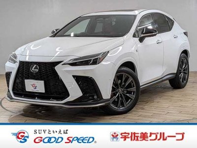 2021 Lexus NX 照片 1