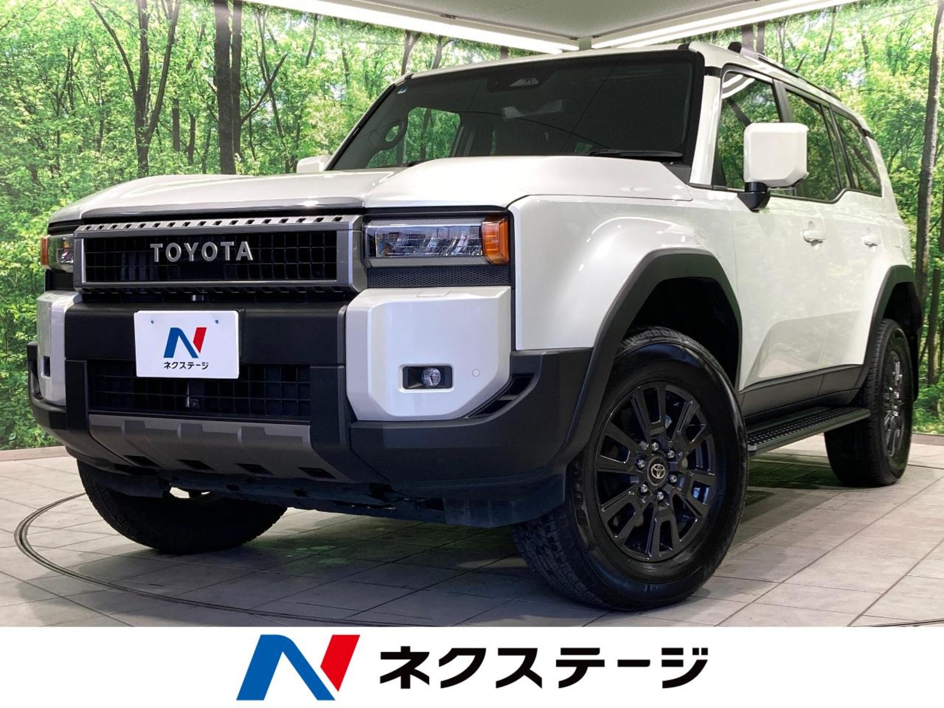 TOYOTA LAND CRUISER 250 - View 1