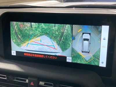 TOYOTA LAND CRUISER 250 - 5