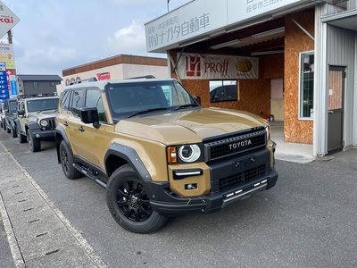 TOYOTA LAND CRUISER 250 - 2