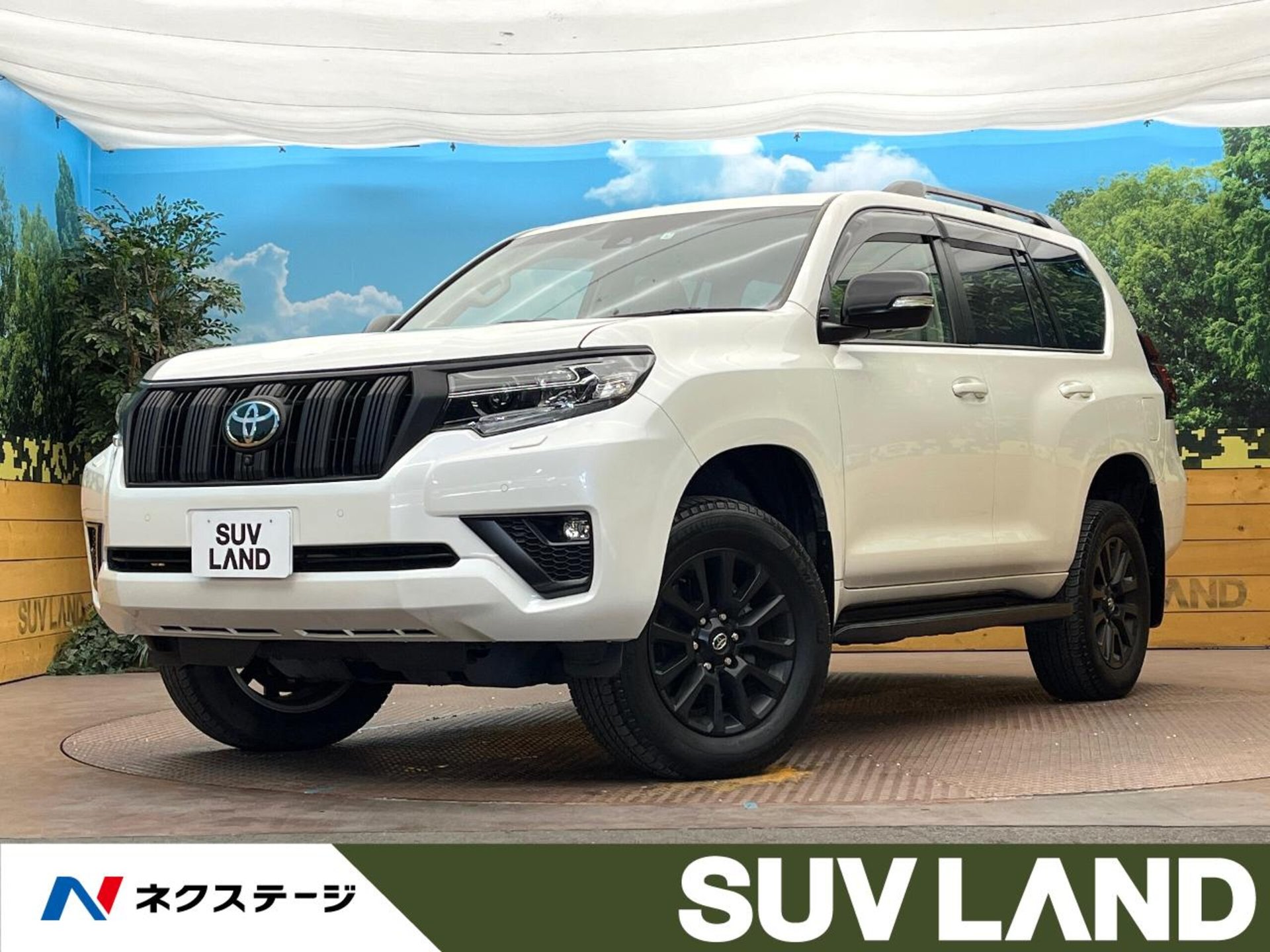 TOYOTA LAND CRUISER PRADO - View 1