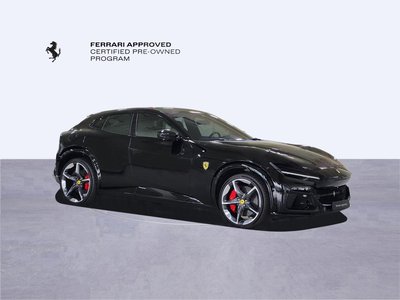 2025 Ferrari PUROSANGUE 照片 6