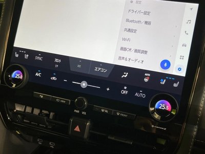 2023 Toyota ALPHARD thumbnail 73