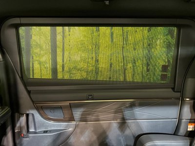 2023 Toyota ALPHARD thumbnail 53