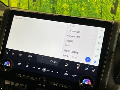 2023 Toyota ALPHARD thumbnail 32