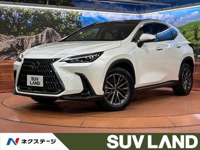 LEXUS NX - 1