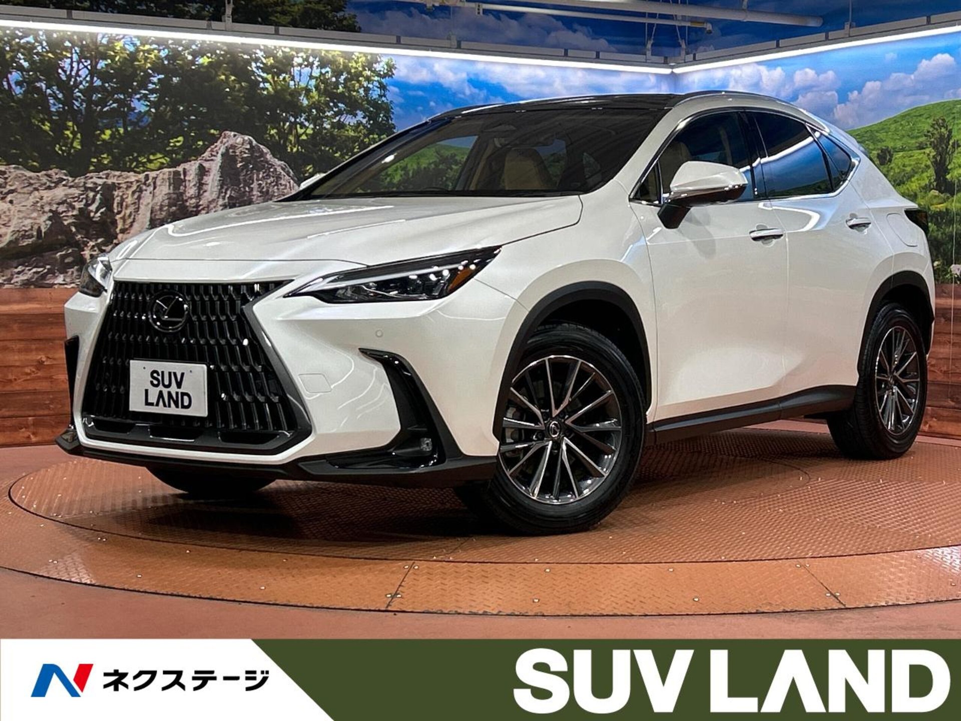 LEXUS NX - View 1