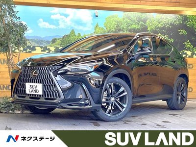 LEXUS NX - 1