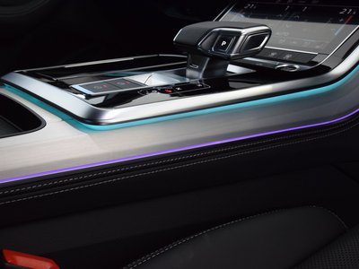 2026 AUDI Q8 thumbnail 32