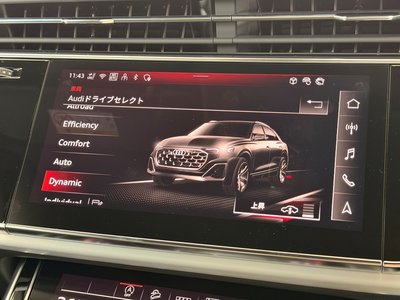 2026 AUDI Q8 thumbnail 55