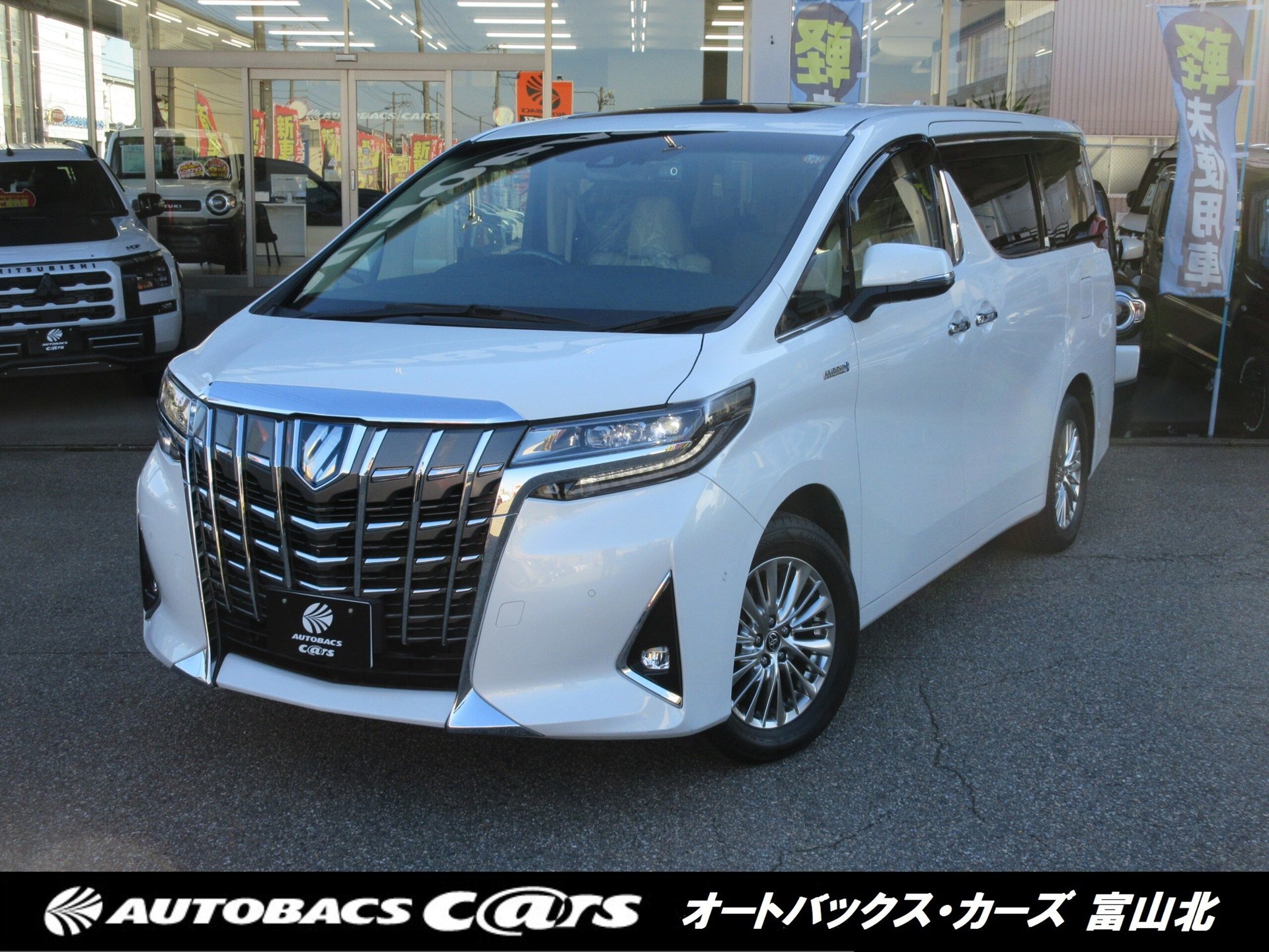 TOYOTA ALPHARD - View 1