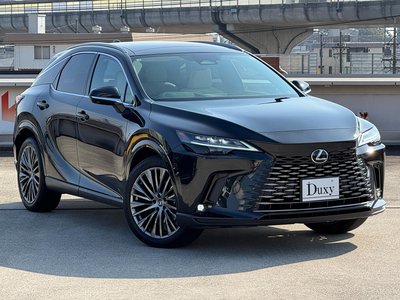 LEXUS RX - 10