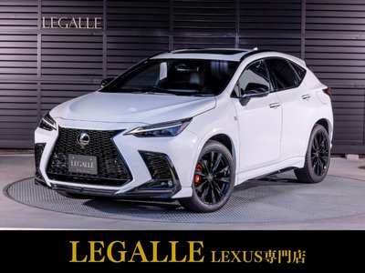 LEXUS NX - 1