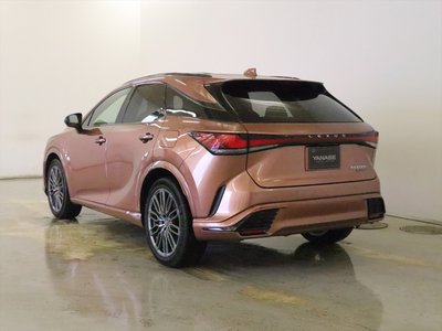 LEXUS RX - 4