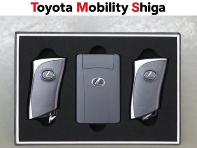 2023 Lexus NX 缩略图 23