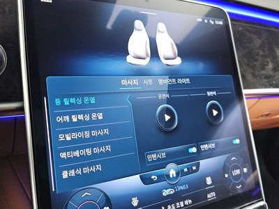 2021 Mercedes-BENZ S-CLASS 缩略图 29