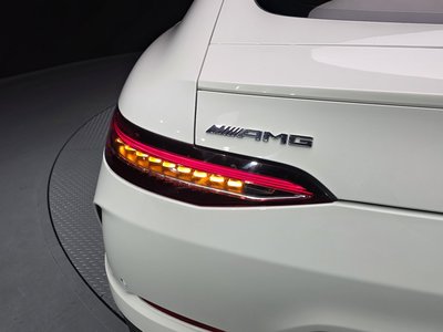 2022 Mercedes-BENZ GT AMG 照片 10