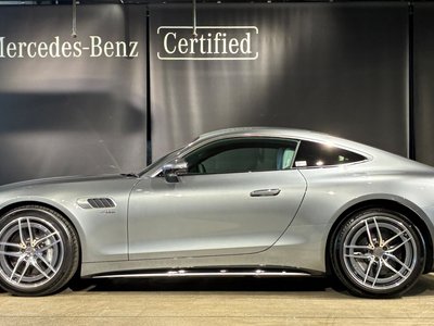 2025 Mercedes-BENZ GT AMG thumbnail 20