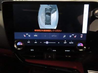 2024 Lexus NX 缩略图 15