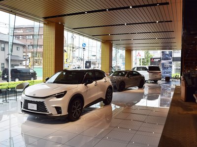 2024 Lexus NX 缩略图 33
