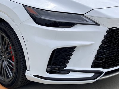 LEXUS RX F SPORT - 10