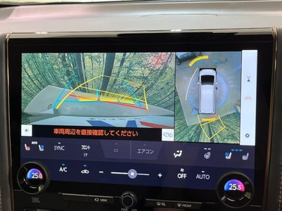 2025 TOYOTA ALPHARD photo 6