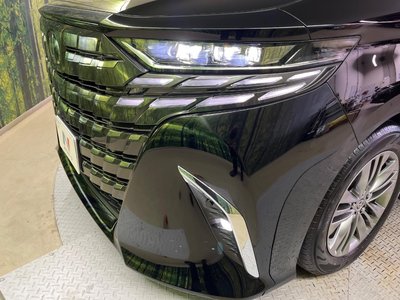 2025 TOYOTA ALPHARD thumbnail 13