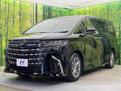 2025 TOYOTA ALPHARD thumbnail 27