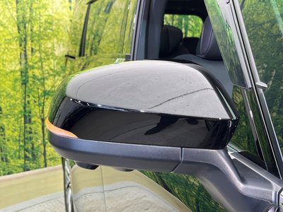 2025 TOYOTA ALPHARD thumbnail 32