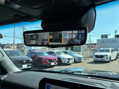 TOYOTA LAND CRUISER 250 - 10