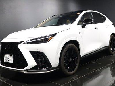 LEXUS NX - 1