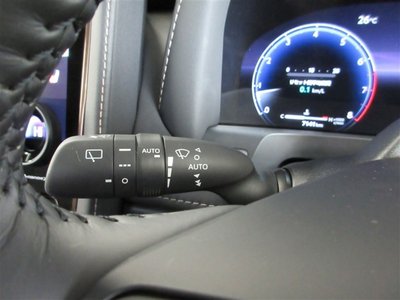 2023 Toyota ALPHARD 缩略图 30