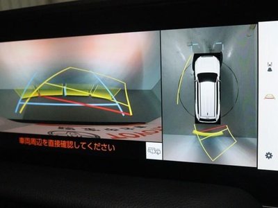 2024 Toyota LAND CRUISER 250 photo 9