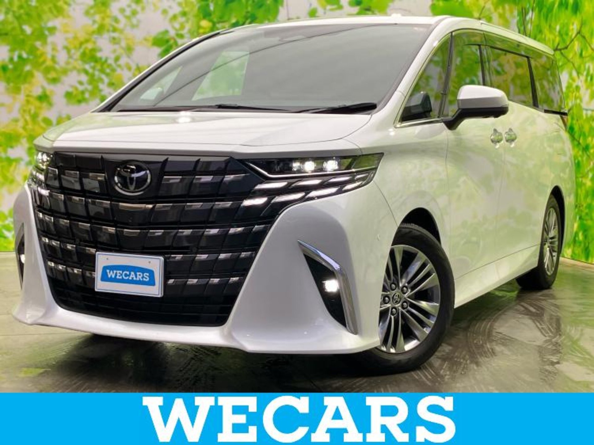 TOYOTA ALPHARD - View 1