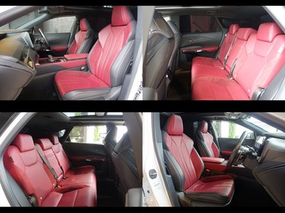2023 Lexus RX thumbnail 18