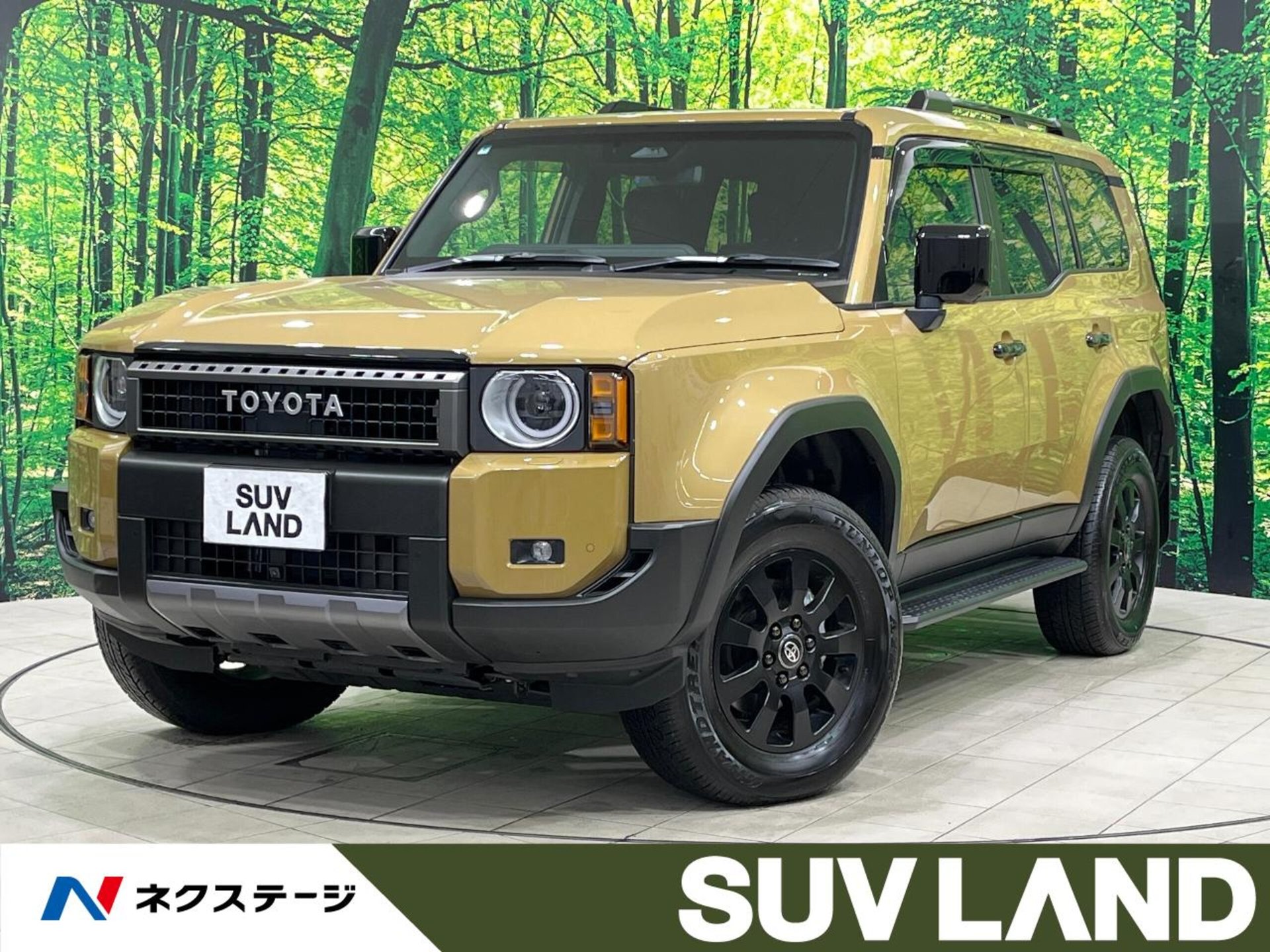 TOYOTA LAND CRUISER 250 - View 1